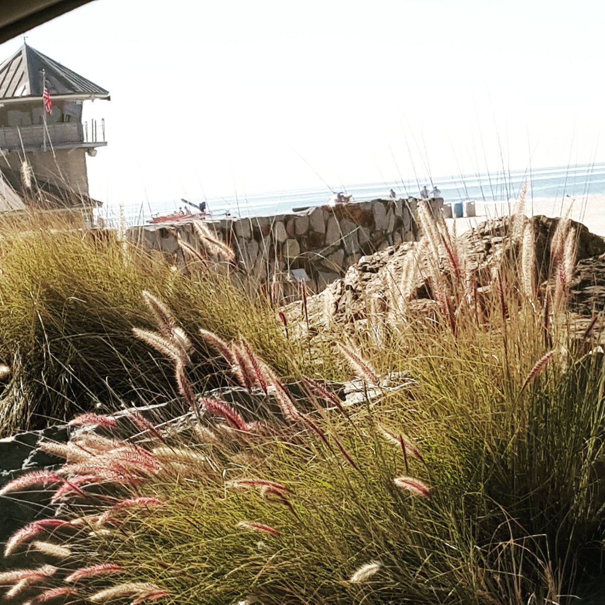 Thursday, January 28, 2016
Awesome morning at Coronado Island Beach--San Diego, CA