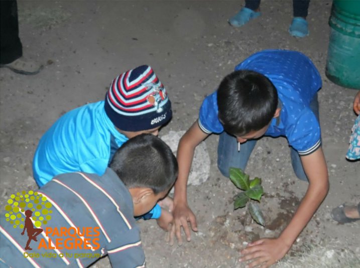 ParquesAlegres's tweet photo. Actividad de arborización en el parque Colosio de aguaruto,niños muy participativos!!
#parquesalegres
#empiezopormi https://t.co/wpTuSIUajy
