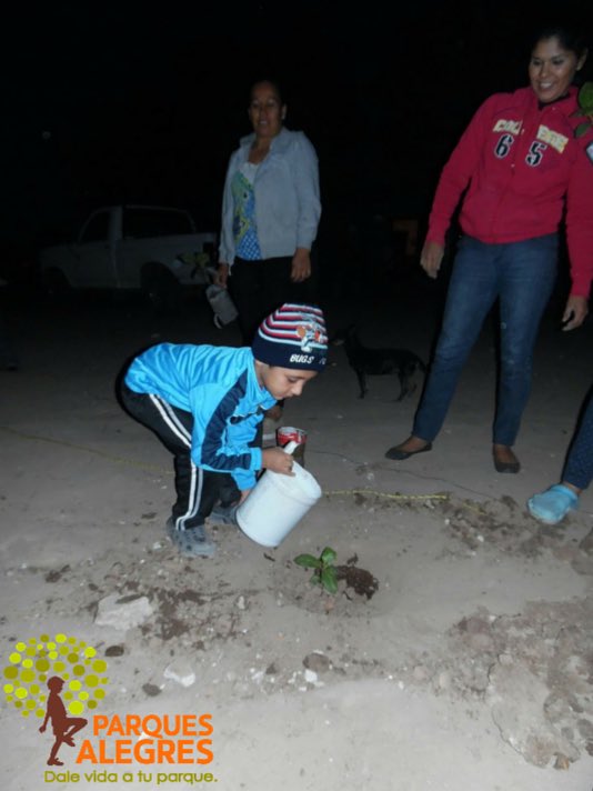 ParquesAlegres's tweet photo. Actividad de arborización en el parque Colosio de aguaruto,niños muy participativos!!
#parquesalegres
#empiezopormi https://t.co/wpTuSIUajy