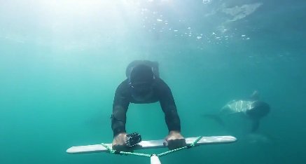 HOWS THIS!! #Kaikoura <a href="/WWKaikoura/">Whale Watch Kaikoura</a> <a href="/SealSwim/">Seal Swim Kaikoura</a> taken on #gopro and #proseries4k cams Click goo.gl/2iDVXW