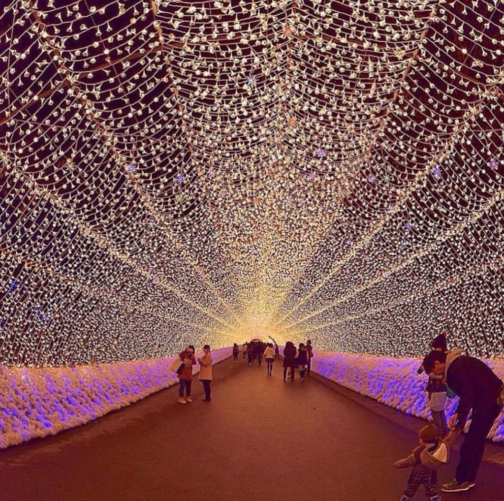 globewandererph's tweet photo. Nabana no Sato winter illumination | By @evolve_basis https://t.co/tyFjcboWV3
