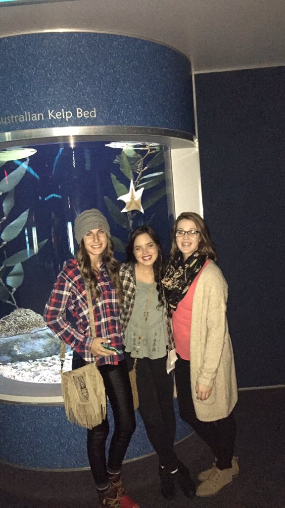 uhsra's tweet photo. Aquarium tonight🐊🐠🐢 https://t.co/eFyNE8IL3p