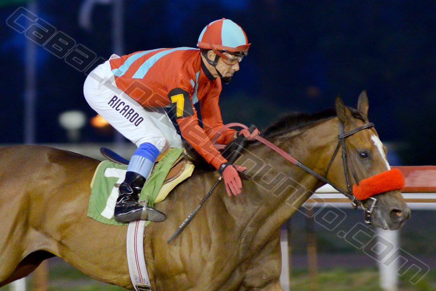 caballosdelmund's tweet photo. #turf . NORAN NABI EN SEGUNDO TRIUNFO JERÁRQUICO CONSECUTIVO. https://t.co/r4GLk68q4s https://t.co/8U6R5Y9BEZ