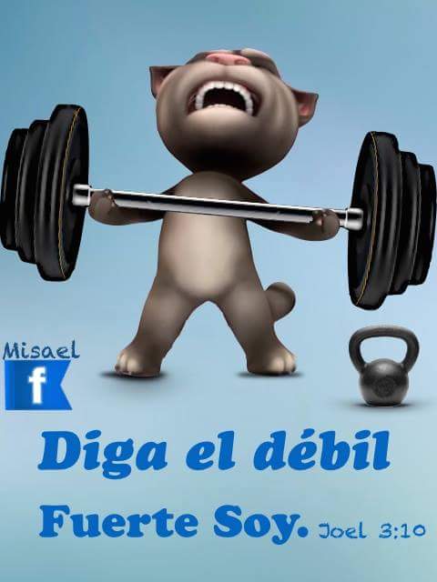 HugoCC6's tweet image. 