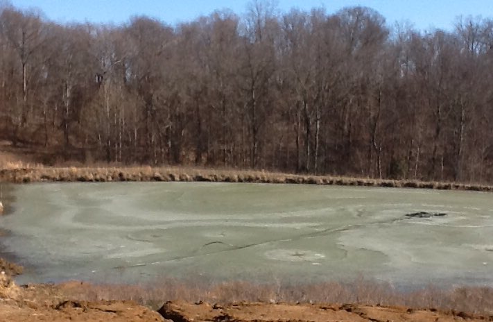 BradMaisto's tweet image. Interesting frozen ice patterns on the pond, alien visits? #MaistoMountain #IcePatterns #Frozen #AlienVisits? #Ice