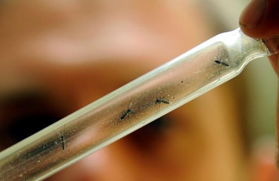 ElNacionalWeb's tweet photo. 8 cosas que puedes hacer para protegerte del virus zika >> https://t.co/hYglJ6ziCx https://t.co/ilUR0Sb5jb (Vía @elpropioweb)