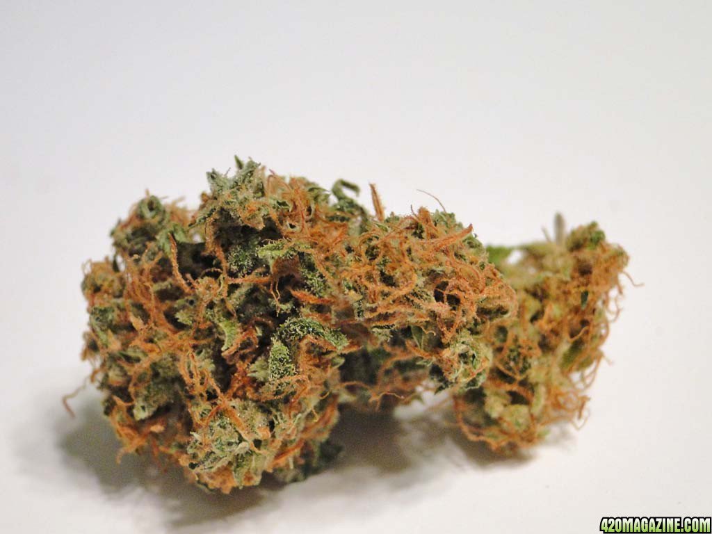 SpawnacusLIVE's tweet photo. My favourite #strain
#Hempstar https://t.co/VpVdjceRUl