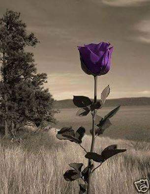 firas1976fff's tweet photo. @Kesha_MySmile https://t.co/dcErFziUYe