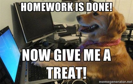 RyanDG13's tweet photo. I'm almost out of treats! #GoodBoy #MCO435 https://t.co/qzPY8Kplug
