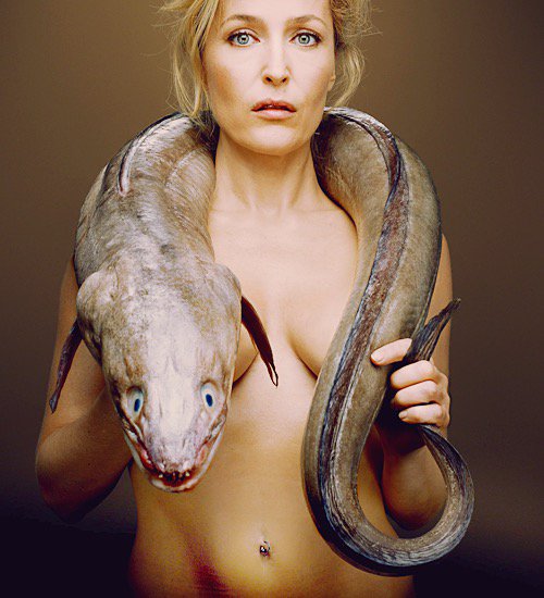 BobaFettANHSE's tweet photo. We ❤️ you Gillian for X-Files and Hannibal both 3 #XFilesRevival #XFilesMemories #Hannibal #hanniballecter https://t.co/yjOXwYrA0a