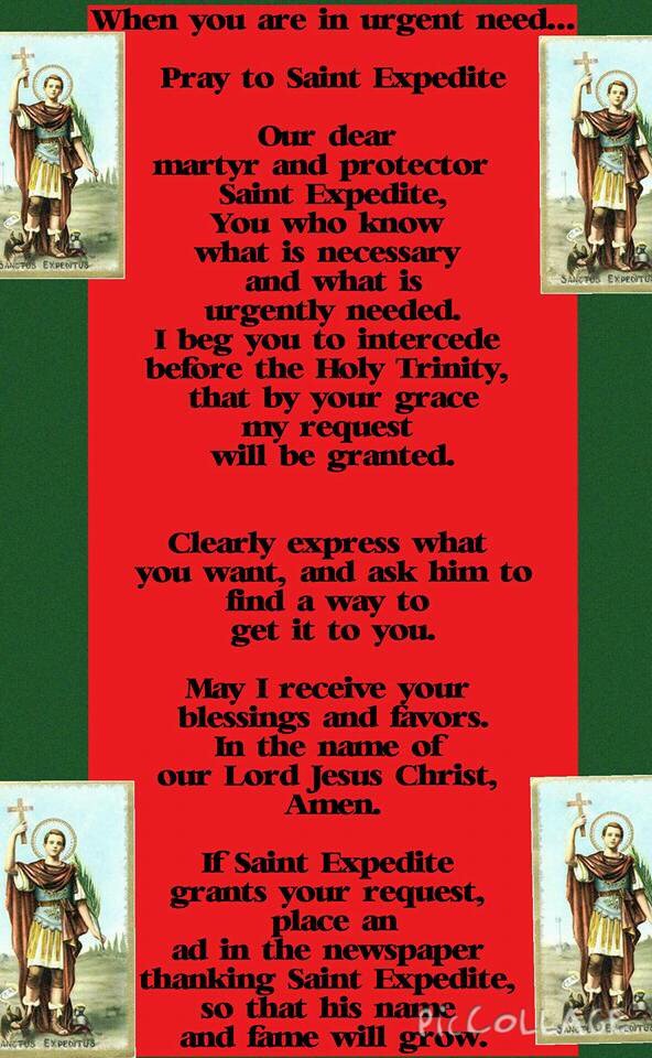 Theresa M Costello tweet media