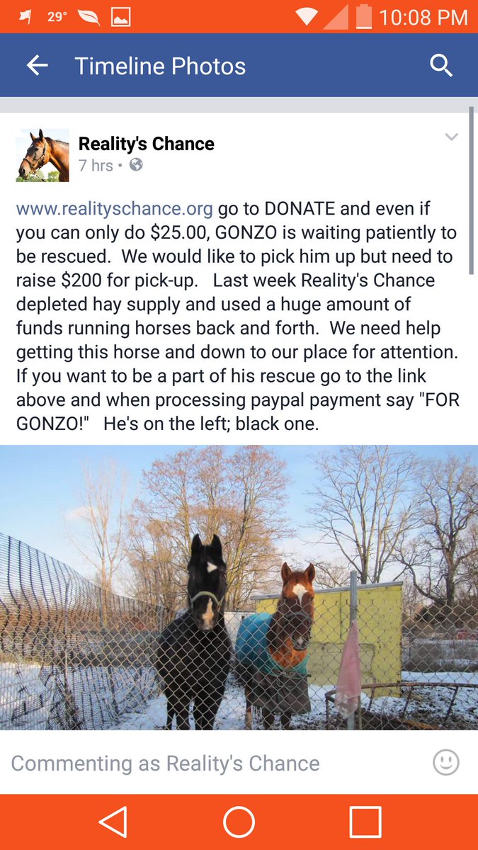 We have helped a rescue that fell on hard times. There is one more horse to rescue.