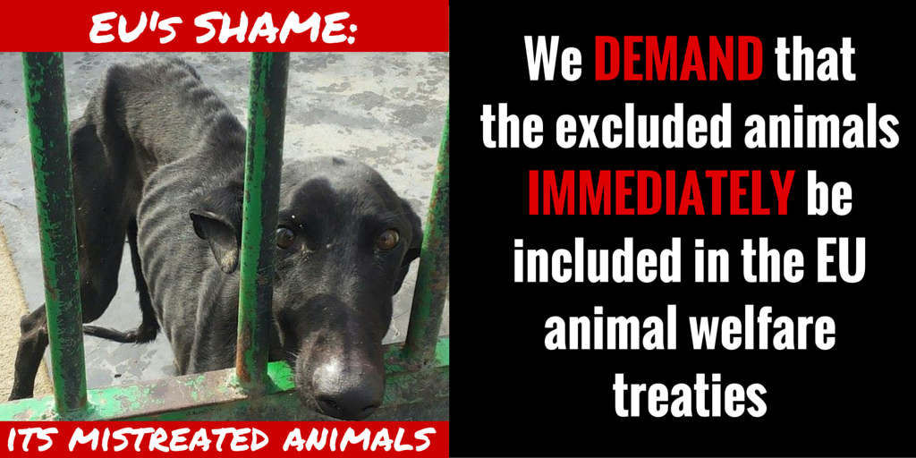 .<a href="/jwojc/">Janusz Wojciechowski</a> Pets (including hunting dogs) must be included in the EU animal welfare laws! ow.ly/FBpsE #DiaDelGalgo #Galgos #Podencos