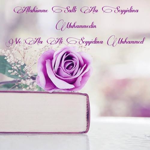 daştan🇹🇷🇹🇷🇹🇷 (@ozkandastan) on Twitter photo 