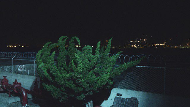 kunstsammlngnrw's tweet image. #Today at #K20: ##Opening of #CyprienGaillard - Nightlife. Welcom at 7 p.m.! #media #art #Duesseldorf @juliastoschek