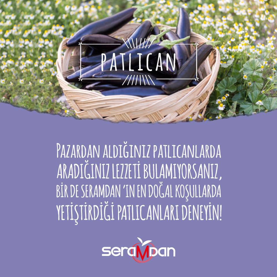 Seramdan tweet media