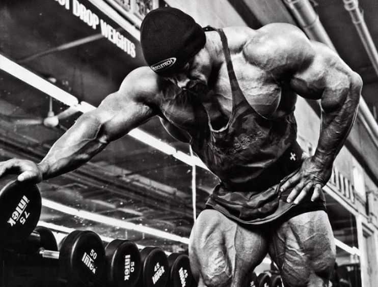 TrueGymLife's tweet photo. 10 Ways To Recover Faster After Exercise.
https://t.co/5QZMmkFQDN https://t.co/8KnmBsit8G