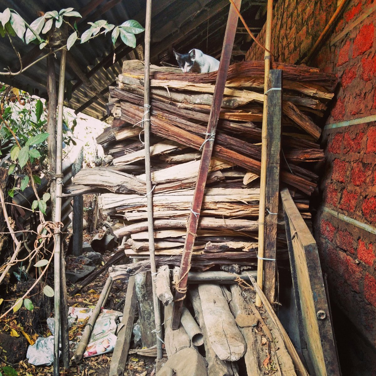 Megambo_'s tweet image. A queen never leaves her throne to address the peasant #AccidentalArchitecture