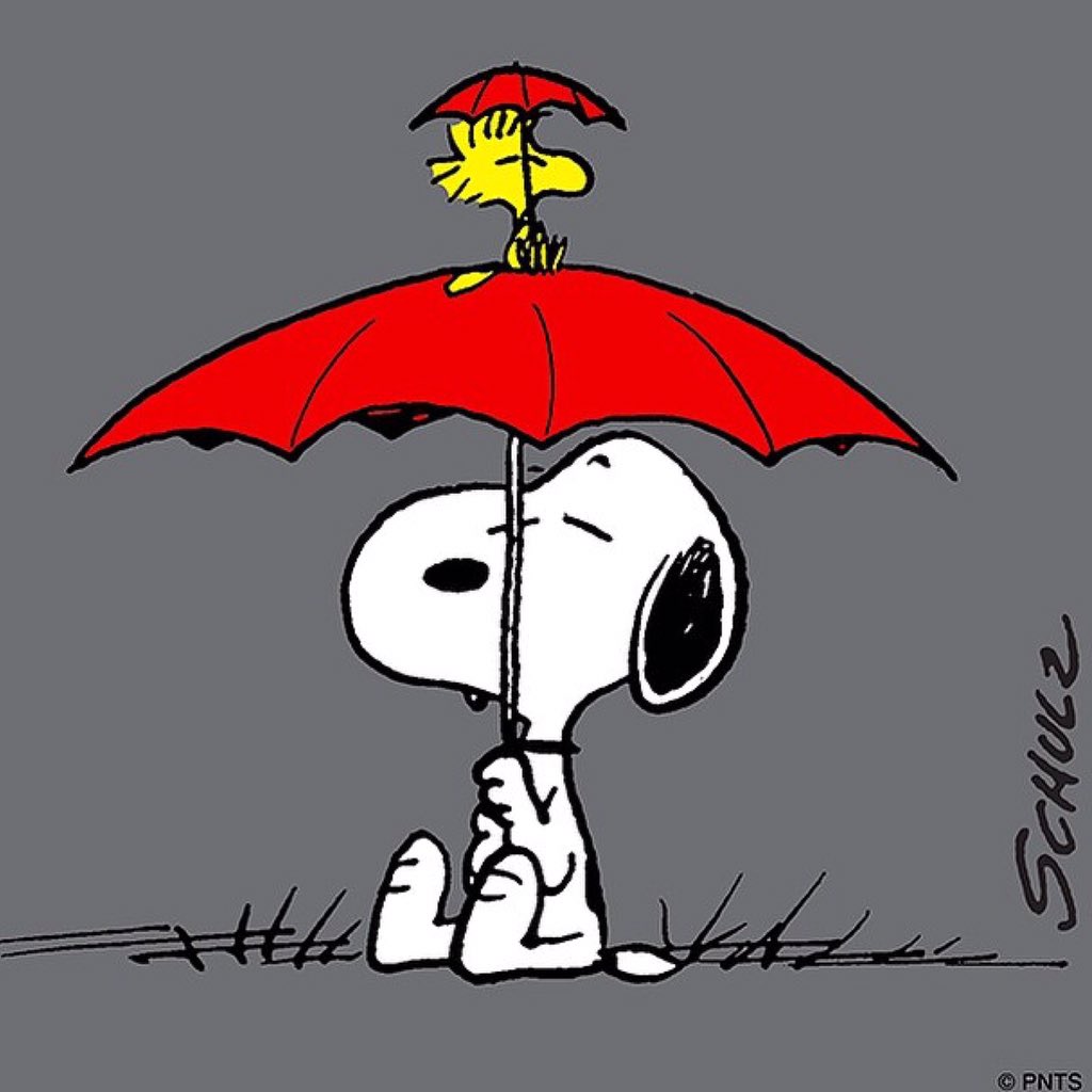 WPBrands_'s tweet photo. Brolly in summer? YEP!

@Melbourne's weather today...WET, WET and WET!

#Friday #MelbWeather @BOM_Vic https://t.co/we0l4fH8eo