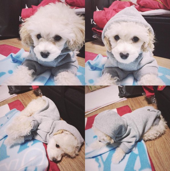 최근 개스타그램 활발히 하는 슬리피 | 인스티즈