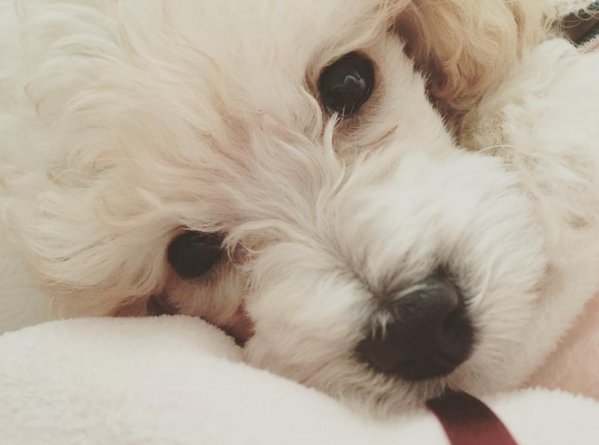 최근 개스타그램 활발히 하는 슬리피 | 인스티즈