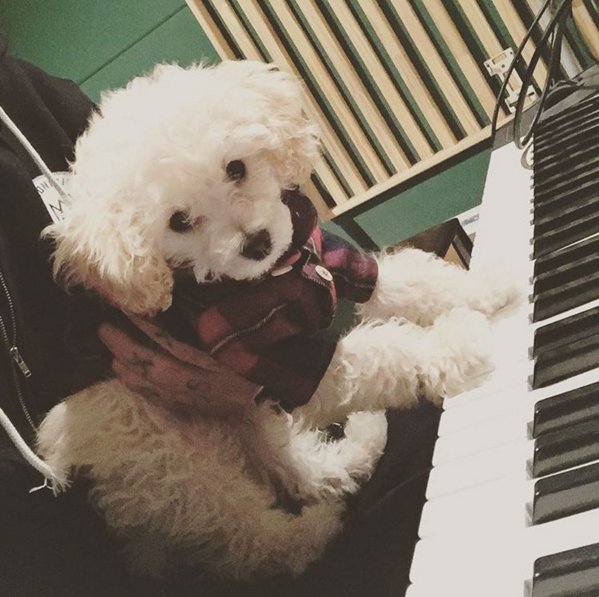 최근 개스타그램 활발히 하는 슬리피 | 인스티즈