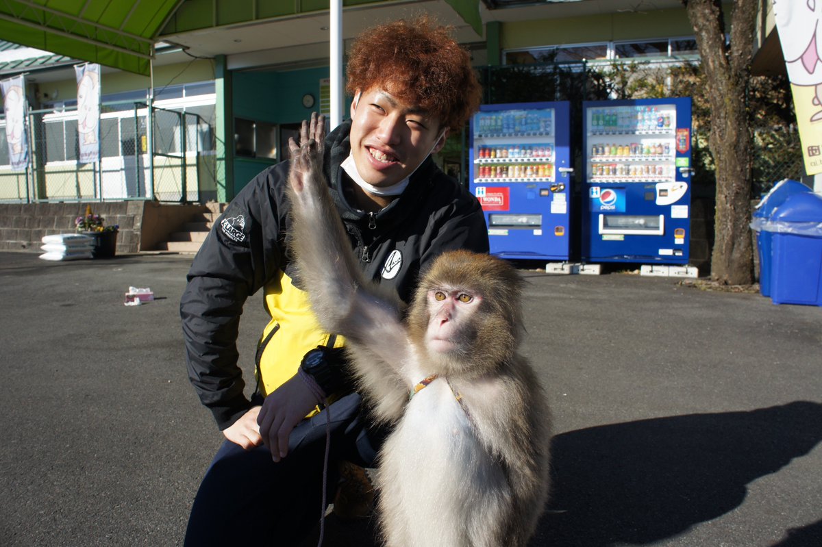 お猿さんの手のひら…見たことありますか？ 実は人間のように手相がある