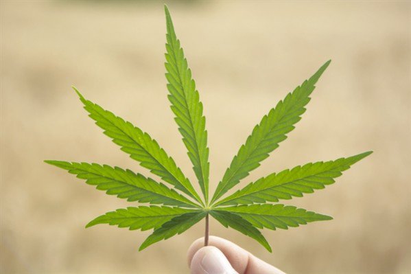 LAWEEDCARD's tweet photo. This #Cannabinoid Enhances the Pain Relieving Effects of #THC - https://t.co/tkxhmqTs1H  #CBC #marijuananews #mmj https://t.co/Nnocsx7ehx