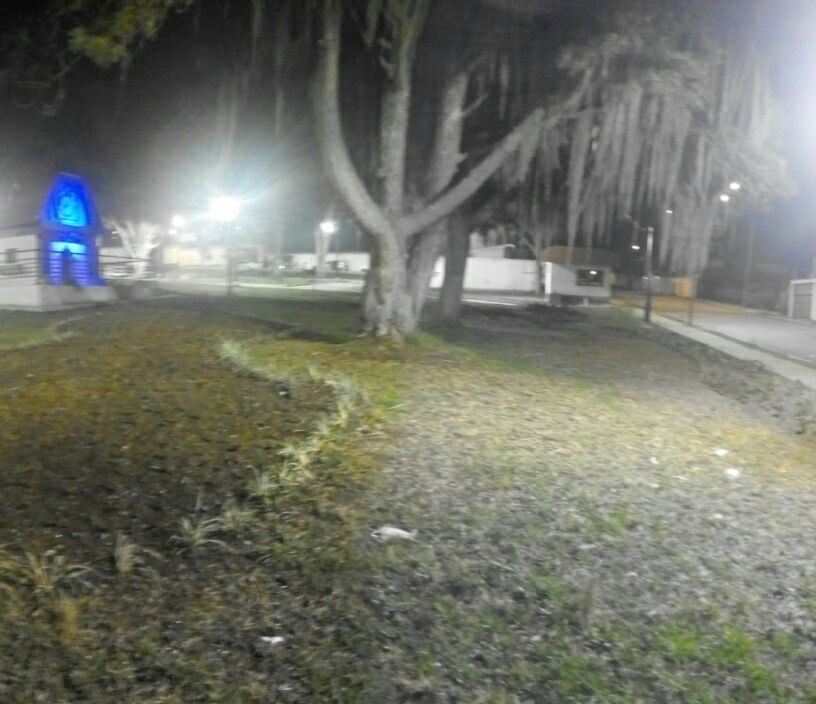 Alexis Ramírez tweet media