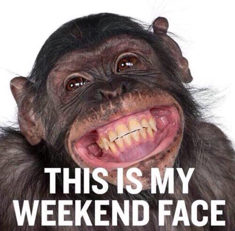 sarahwillers tweet picture