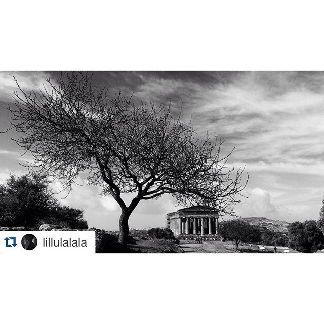 AgrigenTour's tweet photo. Vieni a scoprire le bellezze di #Agrigento su https://t.co/WHGJYQlIBe https://t.co/T8ZNJ0I6Nj