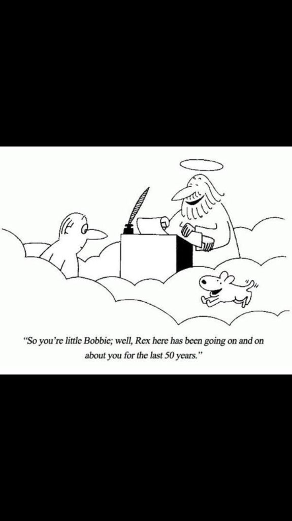 basicgirlcode11's tweet image. HOLY MY HEART