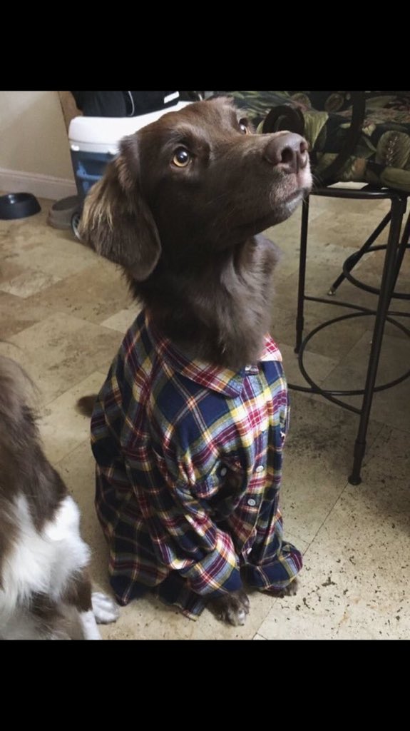 basicgirlcode11's tweet image. Boys in flannels 😍