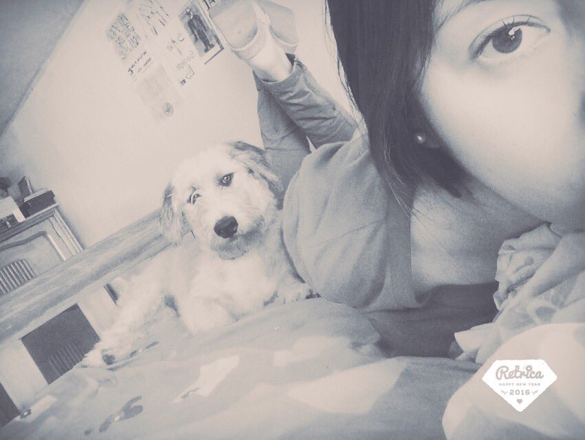 YeseniaHerrada's tweet photo. Mientras más conozco tus pensamientos más quiero a mis ñatos 🐶 https://t.co/IE1jtzrLpM