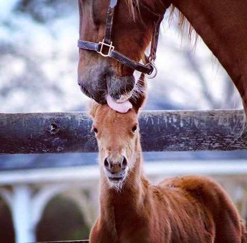 Amigos hoy es el último viernes del mes de enero. A por febrero. Ya estáis en marcha? Nosotros recién peinados
