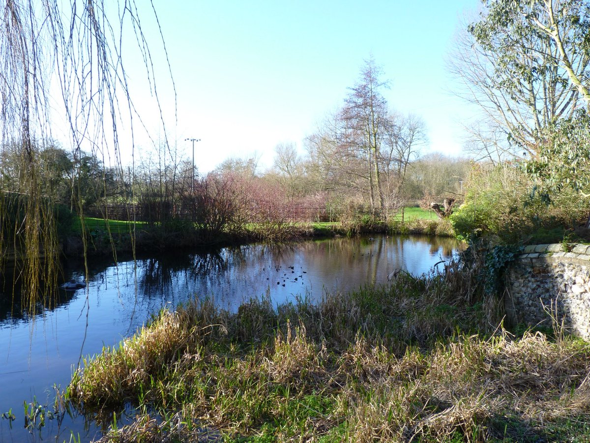 FandCBSE's tweet photo. Fancy looking out over adjacent mill race, mill pool &amp; large natural pond? Call Bev for more details - 01284 718822 https://t.co/mAqC530j9k