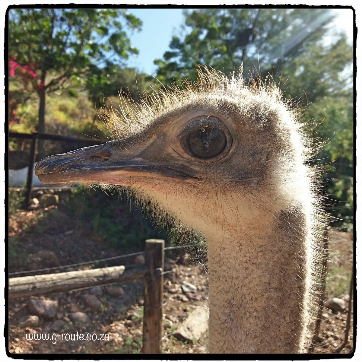 G-Route Adventures tweet media