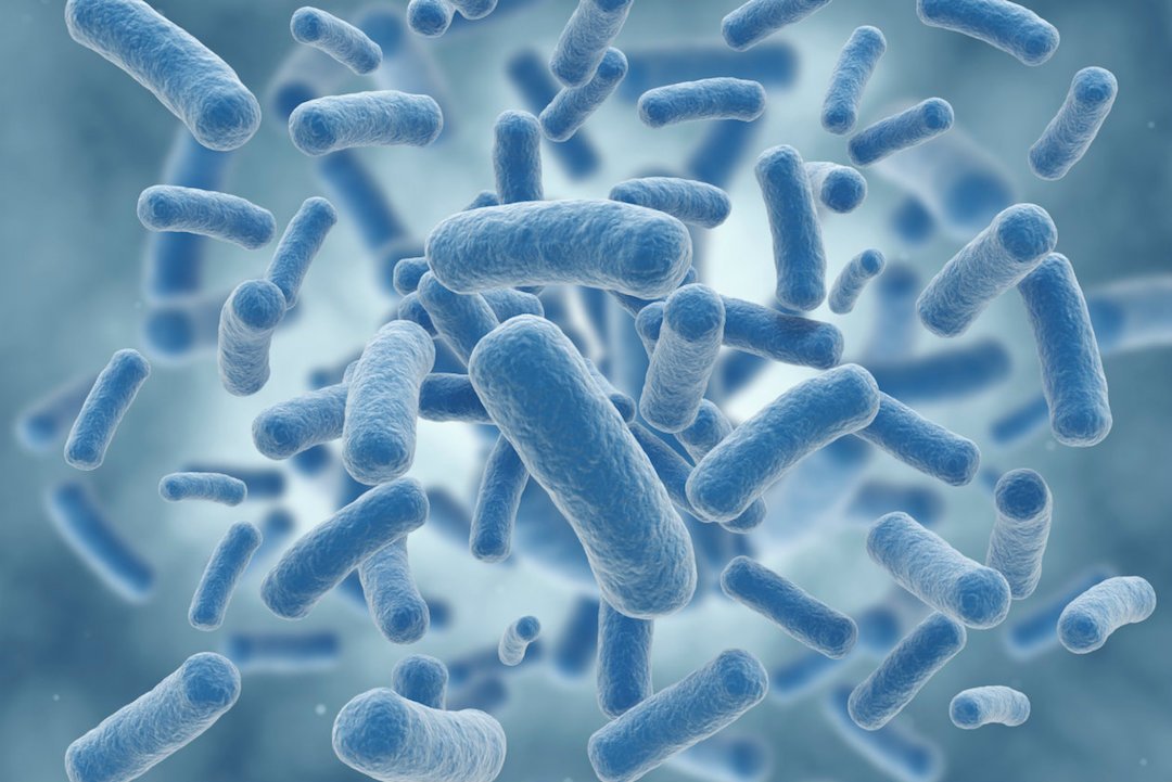 Quelle quantité d'ammoniac ajouter pour cycler votre système d'aquaponie selon la source ?  wp.me/p46un4-Zj