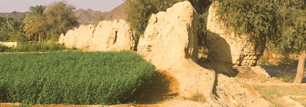 Abdullah_adawi's tweet photo. @mhc_gov 
سور بهلاء بين سندان الطبيعة ومطرقة البشر سنوات وتختفي معالم هذا السور  العظيم إن لم تتحرك الجهات لترميمه. https://t.co/TX6M96Svkn