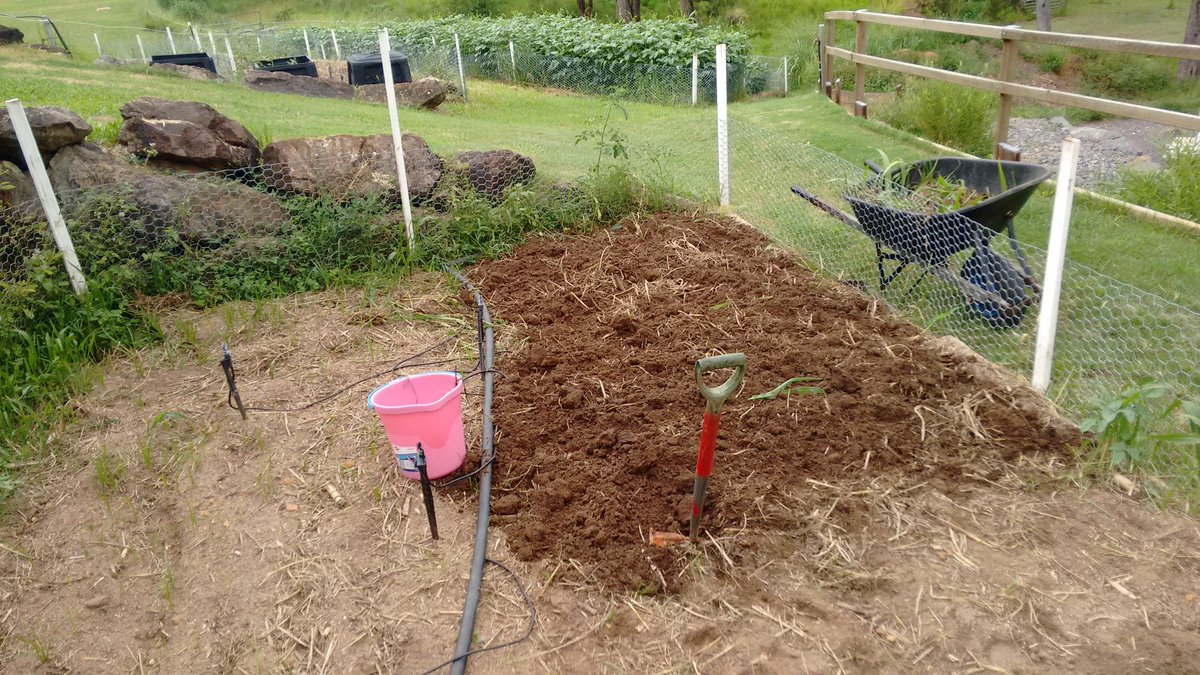 BerakahFarm's tweet photo. I have seen the enemy and it is formidable. #CyperusRotundus #AgEdu #MiddleSchoolAg https://t.co/VY0wXCIeZx