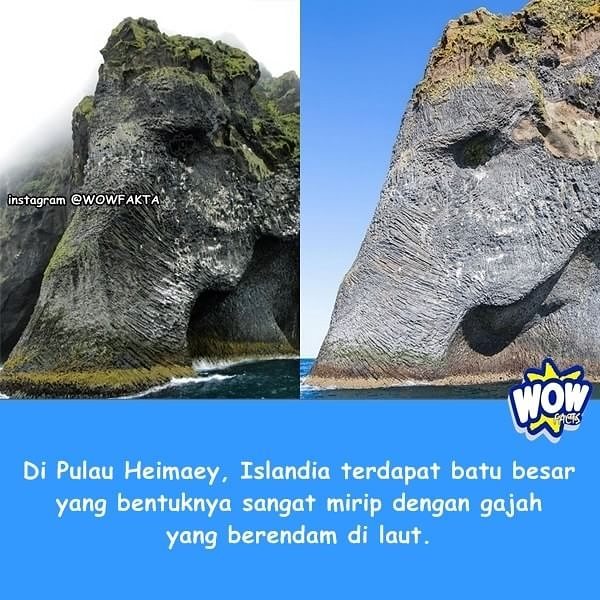 kontenwow's tweet photo. Faktagram hari ini: #tahukahkamu #tahukahanda #wowfakta #fakta #faktanya #wow #mostpopular … https://t.co/mJDZJJetAM https://t.co/ol8YsZf8hh