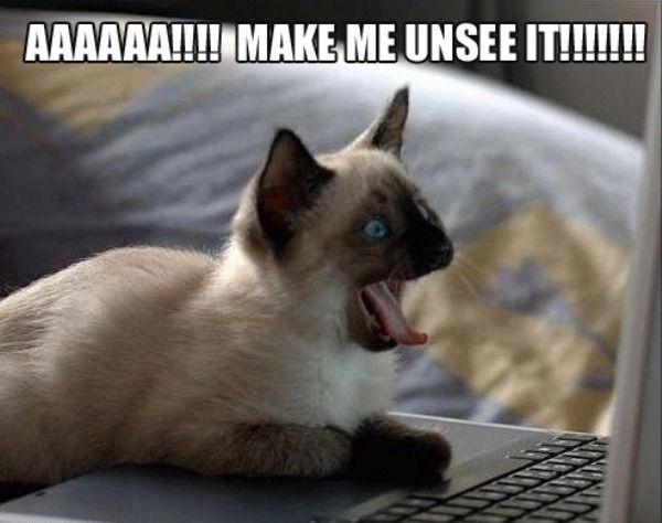 GenXMedia's tweet image. Someone&apos;s watching #CBB2016.