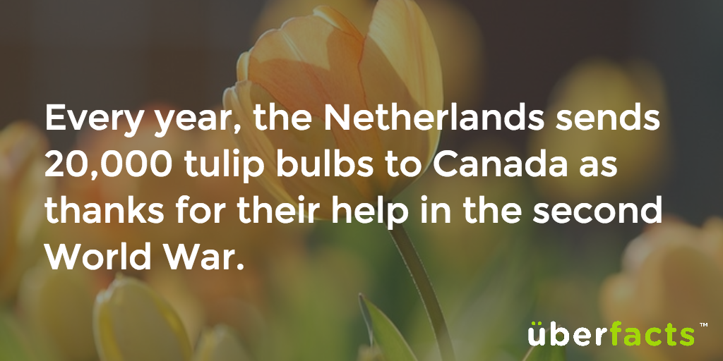 UberFacts's tweet photo. Well, that's sweet. https://t.co/avJIa2fWVA