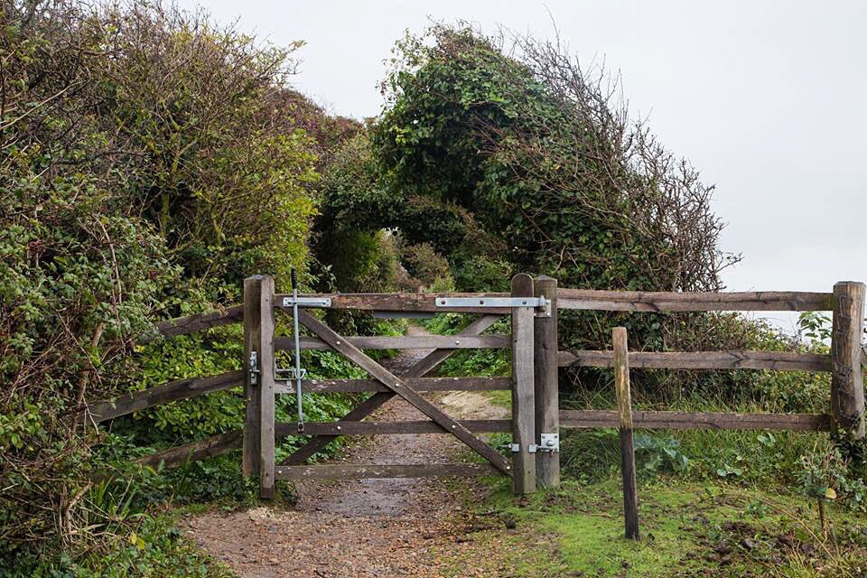 unicorn_pretzel's tweet photo. @Crooked_Flight @corinnevail went to #doverwhitecliffs a few months ago, I plan to see them from France next! https://t.co/5Bd34TuZuO