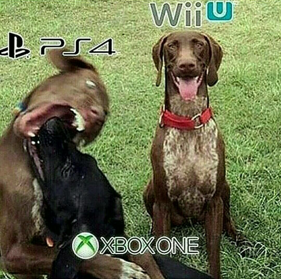 hatem_mob's tweet image. 