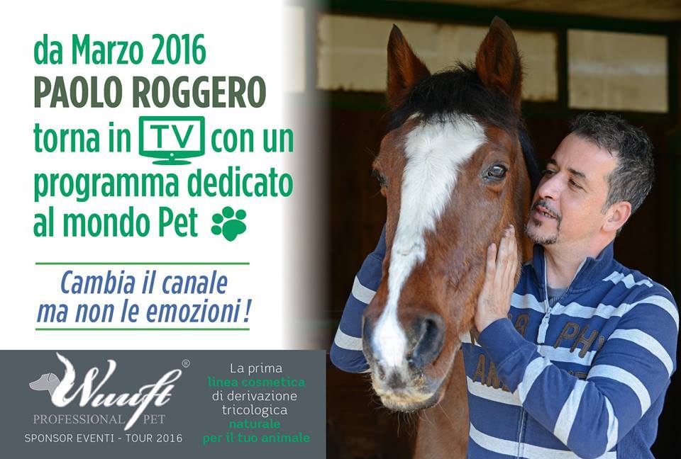 Dogsitterino's tweet photo. tante grandi novità insieme a un partner d'eccezione: @WUUFT_PET! #comingsoon https://t.co/Urodb6ZAdH