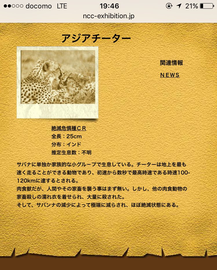 しまちゃん アジアチーター 絶滅危惧種らしい 肉食だけど人間や家畜を襲うことはないって 見た目ヤンキーなのに中身はやんちゃで天使のような可愛さと優しさの上田くんにピッタリじゃない ありがとうwink Upさん 上田竜也 T Co Guvddejbox