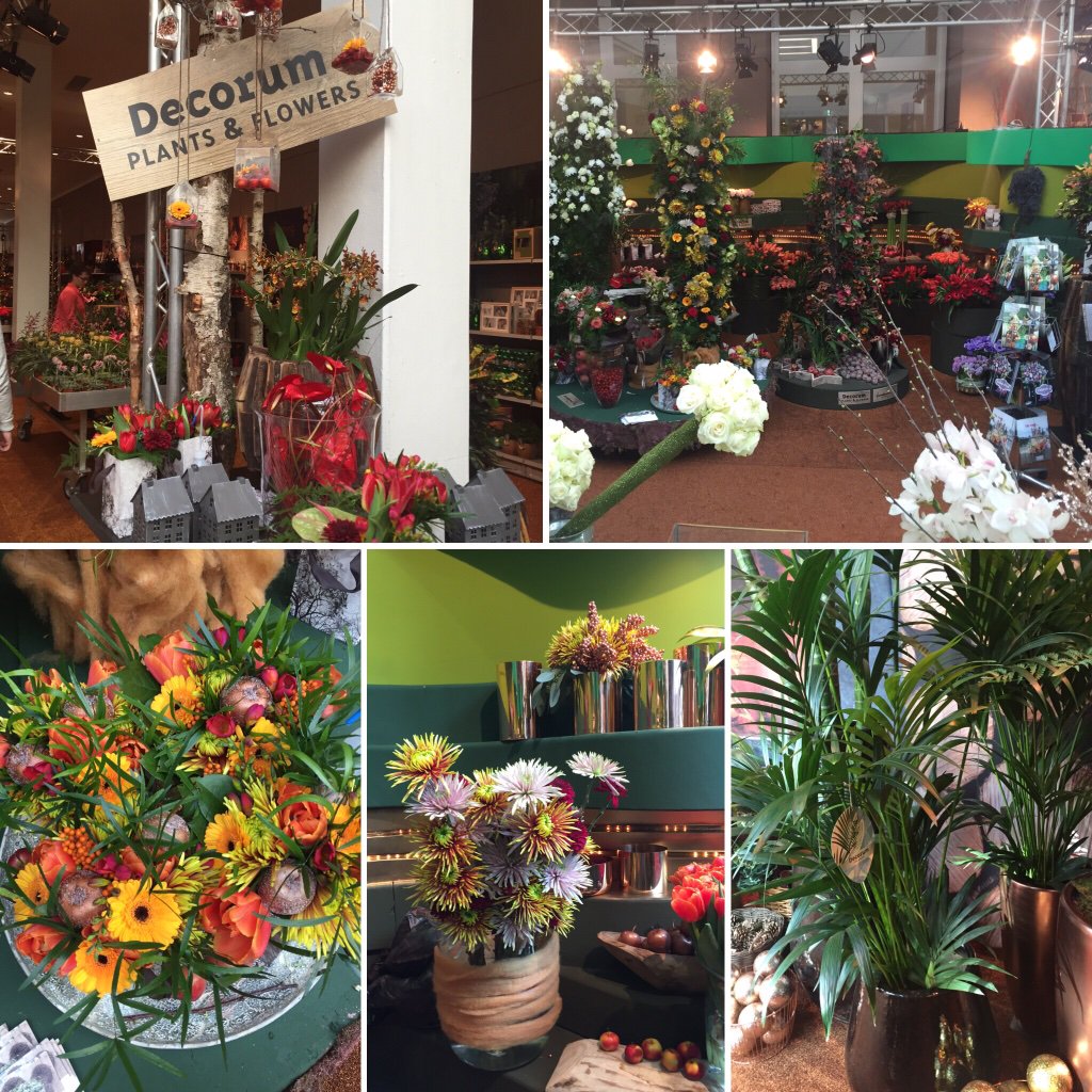Decorum @ChristmasworldF in #Frankfurt!
Prachtige combi van verse planten en bloemen en deco, volop inspiratie!