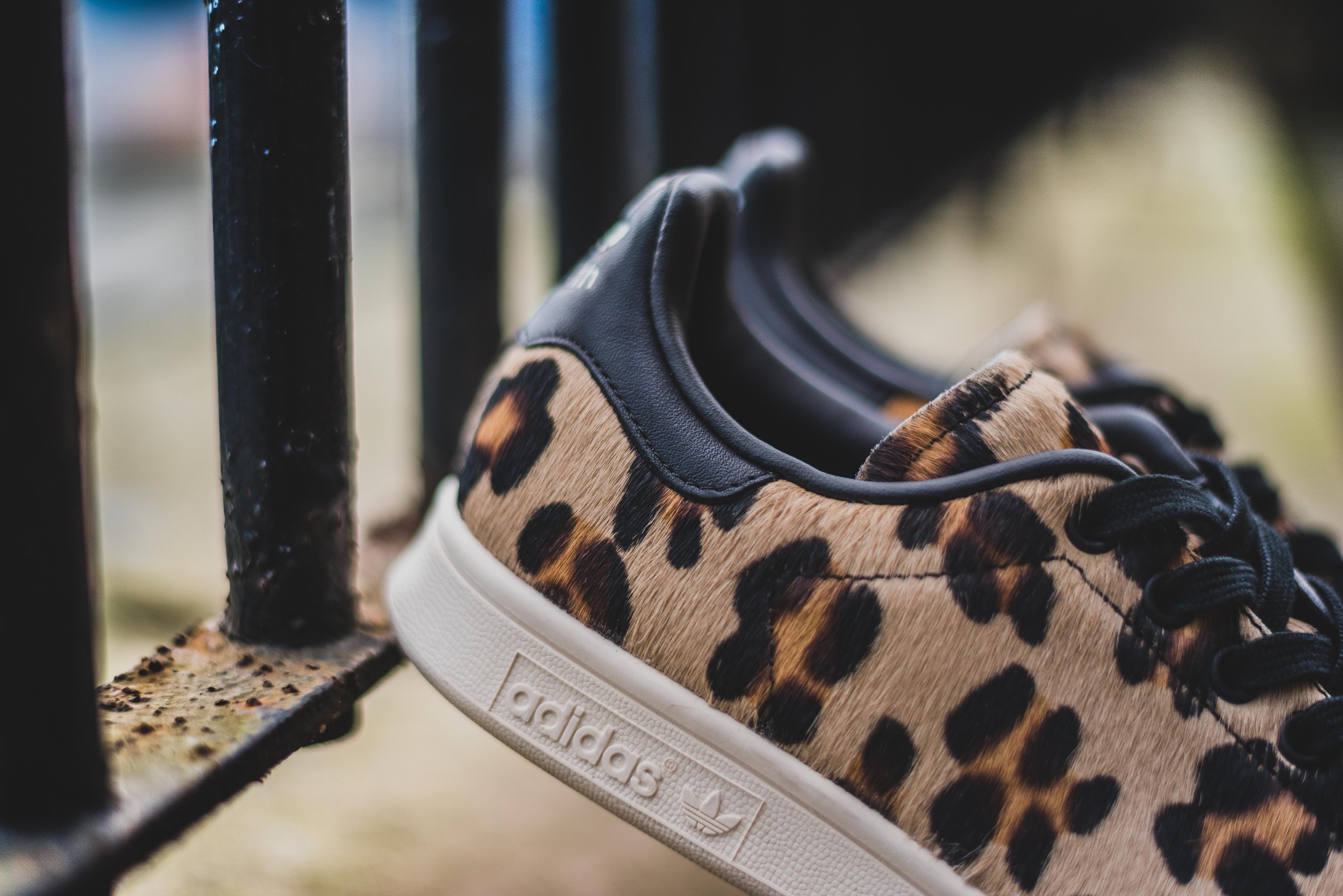 Stan smith cheap cheetah