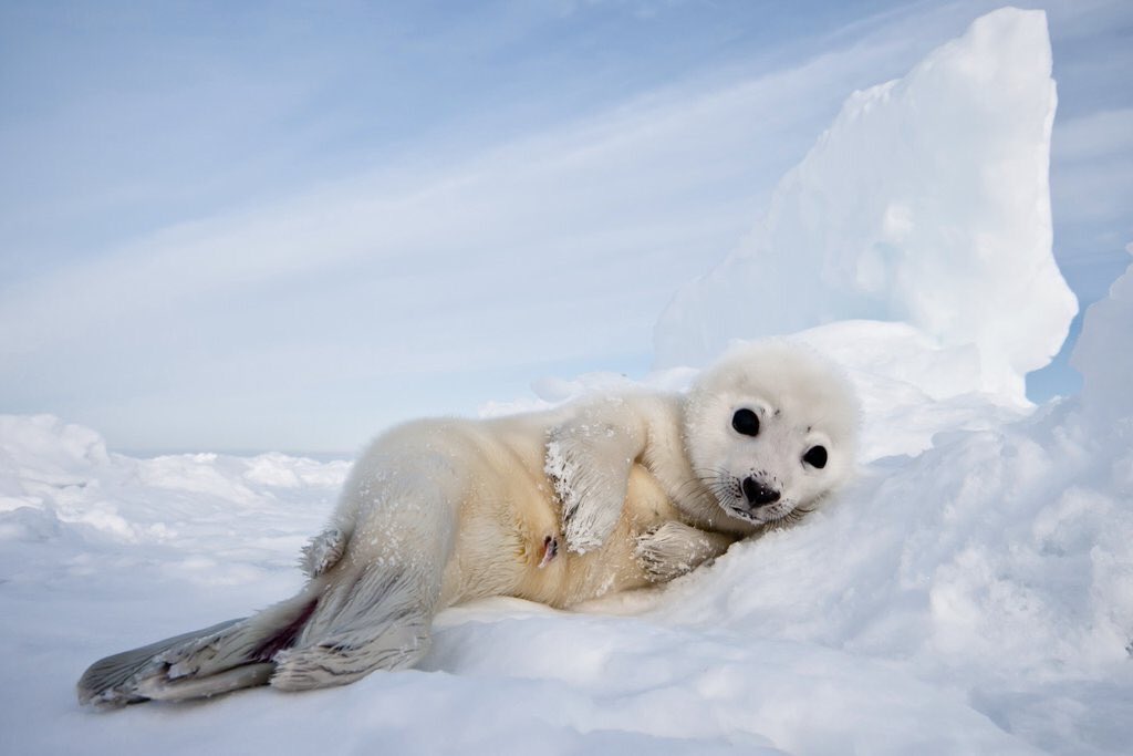 Ellie Hunzinger tweet media